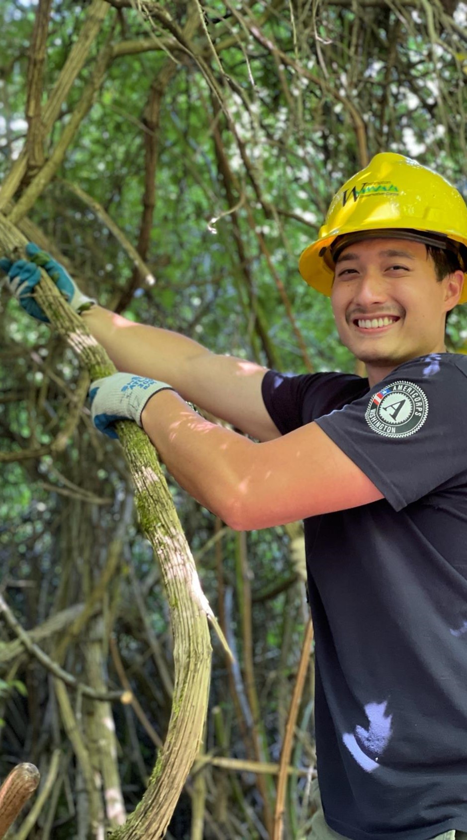 Cool Jobs in Washington